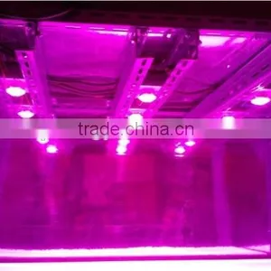Aluminium Cob Led Light Heat Sink Cob Grow Light Kit 100w Cob Led Full Spectrum thumbnail-4