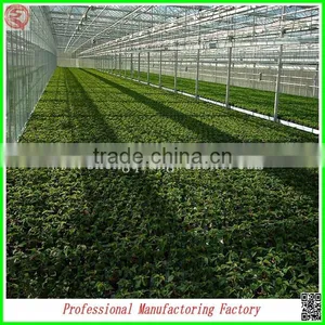 Renewable Polycarbonate Sheet Garden Greenhouses With Automatic Control System thumbnail-3