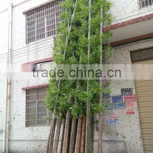 SJ030936 Bamboo Ornamental Plants Artificial Plant Artificial Bamboo Products thumbnail-1