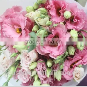 Good Quality Pink Eustoma Cut Fresh Flowers For Mother's Day thumbnail-1