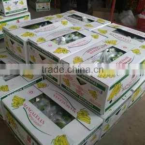 FRESH GREEN CAVENDISH BANANA thumbnail-5