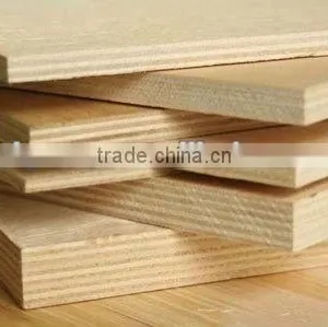 Birch Plywood thumbnail-1