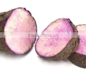 Vietnam Best Quality Fresh Yam Tubers Root thumbnail-1