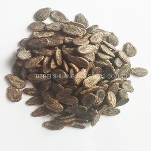 SHUANGXING f1 Big Hybrid Watermelon Seeds Outdoor Grown thumbnail-4