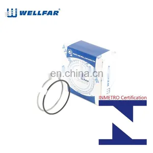 Wellfar CBX250 Engine Parts 73mm Engine Piston Rings For CBX250 Honda Engine thumbnail-2