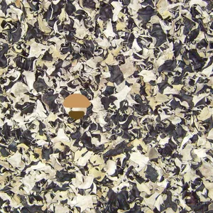 Dehydrated Dried White Back Black Fungus Auricularia Polytricha thumbnail-1