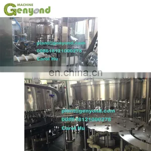 Professional Factory Coconut Water Processing Plant Cost thumbnail-4