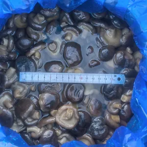 Shiitake in Brine, Brined Mushrooms, Edible Fungi, Lentinus Edodes, Cleanning thumbnail-2