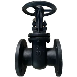 Russian Standard GOST Cast Iron Ductile Iron Wedge Gate Valve Py10 Py16 Din Metal Seal Gate Valve thumbnail-2