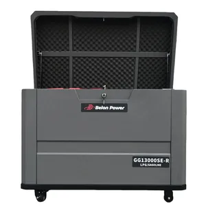 Belon Power 10KW Double Cylinder Multi-fuel Silent Generator Gasoline Natural Gas LPG CNG LNG Propane thumbnail-1