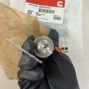 Pressure Relief Valve 5462312 for Cummins Engine Parts thumbnail-1