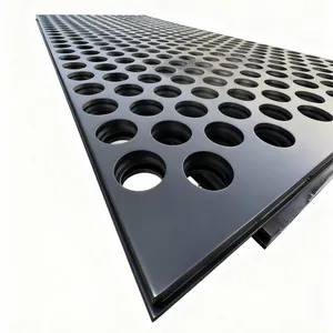 Polypropylene (PP) Perforated Plastic Sheets/Plates for Ceilings thumbnail-2