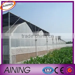Anti-uv 200 Micron Greenhouse Film for Planting Fruits and Vegetables Quality Choice thumbnail-1