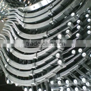 Eyes Slipper Leaf Spring thumbnail-1