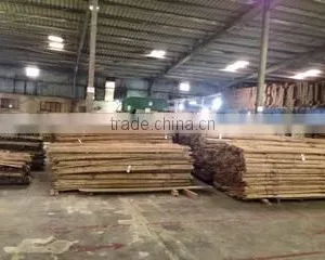 Truc Xuan Co.,ltd company overview - view 1 thumbnail