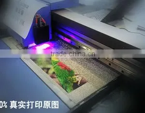 LED Curable UV Ink Aomya for Epson Head Printer Dx5 thumbnail-3