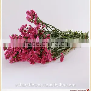 Forget me Not Flower to Make Flower Bouquets thumbnail-1