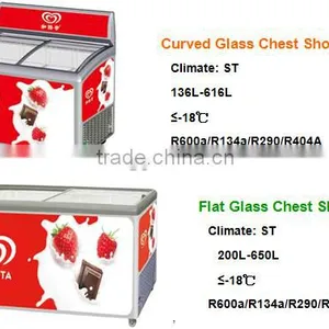 205L Commercial Ice Cream Fridge Ice Cream Refrigerator Ice Cream Freezer thumbnail-5