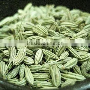 Top Quality & Competitive Price of OLEORESIN FENNEL 5% VOC Oil Soluble thumbnail-1