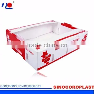 Plastic Fruit Packaging Box thumbnail-3