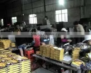 Jinjiang Luoshan Anlu Hygiene Products Co., Ltd. company overview - view 3 thumbnail