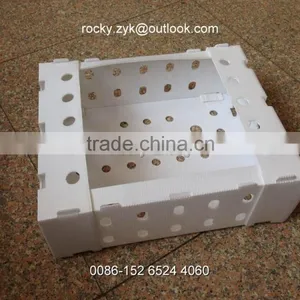 Hollow PP Plastic Banana Package Box Pack Carton thumbnail-3