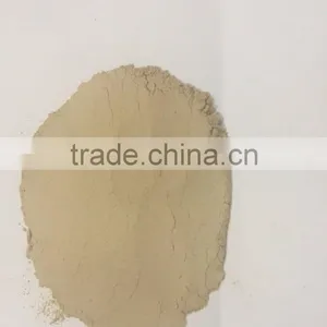 Garlic Powder / Garlic Flakes / Dehydrated Garlic Flakes / Chopped Garlic thumbnail-2