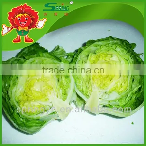 Freezed Leaf Lettuce Iceberg Type Lettuce Grade One Vegetable in Yunnan thumbnail-2