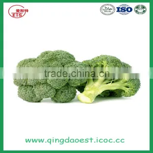 Hot Sale Fresh Broccoli for Sale 800-900g/pc thumbnail-1