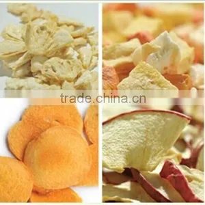 Dried and Delicious Carrot Chips thumbnail-1