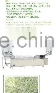 High Efficiency Potato Carrot Dicing and Washing Processing Line thumbnail-4