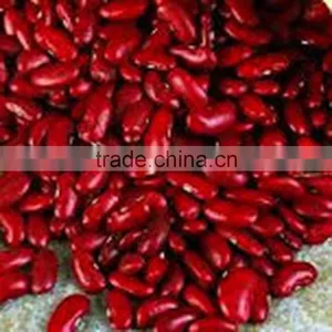 JSX Cooking British Red Kidney Bean Round Shape Food Grade Red Kidney Bean thumbnail-3
