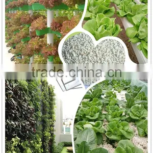 Expanded Perlite 1-3mm, 2-4mm Perlite Soil Amendments thumbnail-5