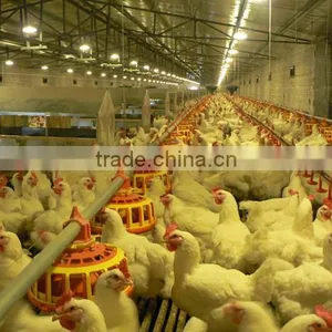 U-Best Poultry Farm Manual Egg Collection Box/laying Nest thumbnail-2