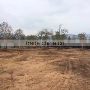 Viet Nam Charcoal Product Smokeless thumbnail-4
