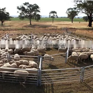Cattle Handling,Cattle Gate,Corral Panels Manufacture thumbnail-1