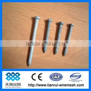 Nail/wire Nail/steel Nail thumbnail-1