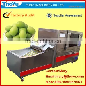 Hot Sell Olive Seed Remover(SMS: 0086-15903675071) thumbnail-1