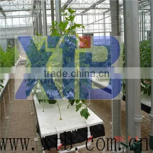Hydroponic Plastic Greenhouse for Sales thumbnail-1