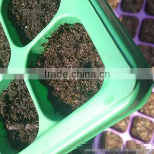 Polystyrene (PS) Plastic Seed Plug Tray With 32 to 512 Cell thumbnail-4