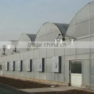 Commercial Greenhouse thumbnail-6