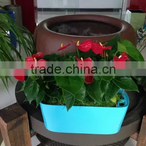 Self-watering Colorful ABS Window Box thumbnail-1