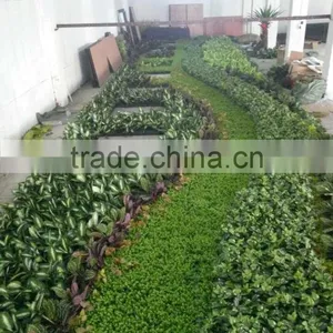 Vertical Grass Wall, Garden Artificial Hanging Green Wall,artifiicial Wall Dropback thumbnail-4