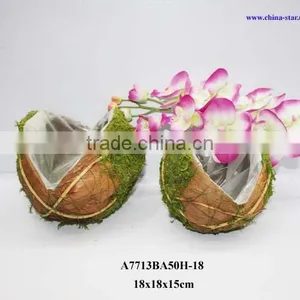 Moss Coco Plantting Pot thumbnail-1