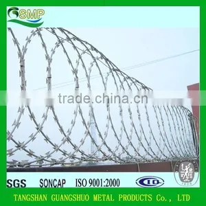 Umbrella Head Roofing Nails, Hot Sale Galvanized Roofing Nails thumbnail-3