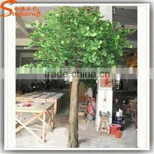 Made in China Wholesale Artificial Yellow Gingko Tree, Green Leaf Tree/plant thumbnail-4