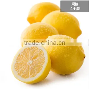 Chinese Fresh Lemon for Wholesale thumbnail-1
