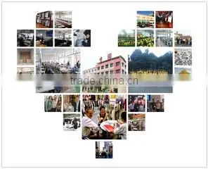 Zhangzhou Shengyuan Clothing Co., Ltd. company overview - view 3 thumbnail