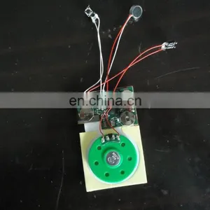 Promotion Voice Recordable Sound Chip Greeting Card Module thumbnail-1