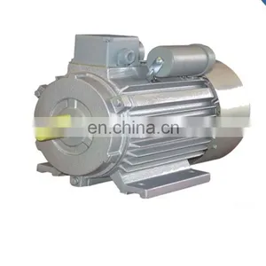 YL 10hp Single Phase Motor thumbnail-1